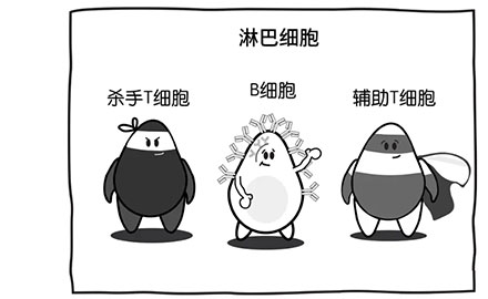 细胞免疫评价